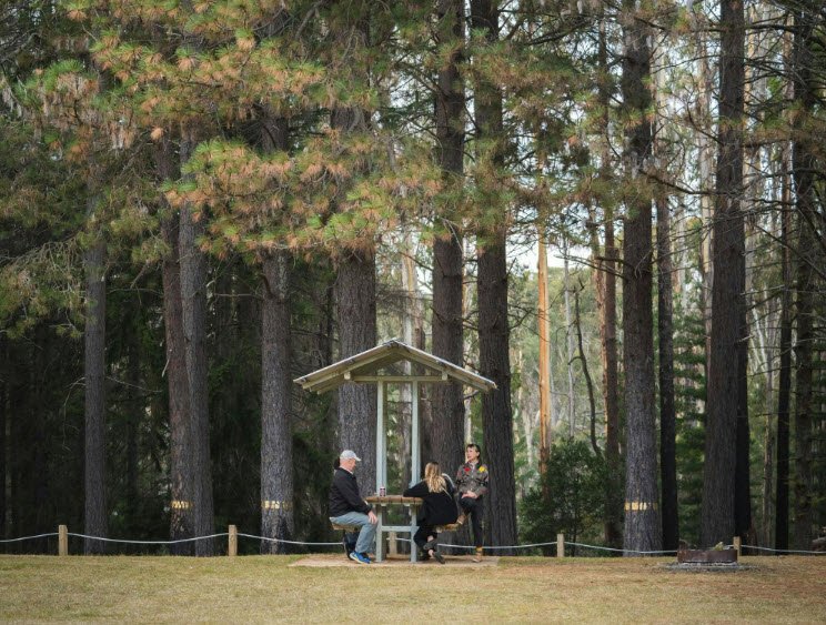 Pilot Hill Arboretum, Batlow, New South Wales, Australia, Australia